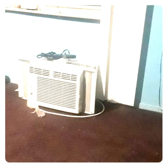 Air dindinshor